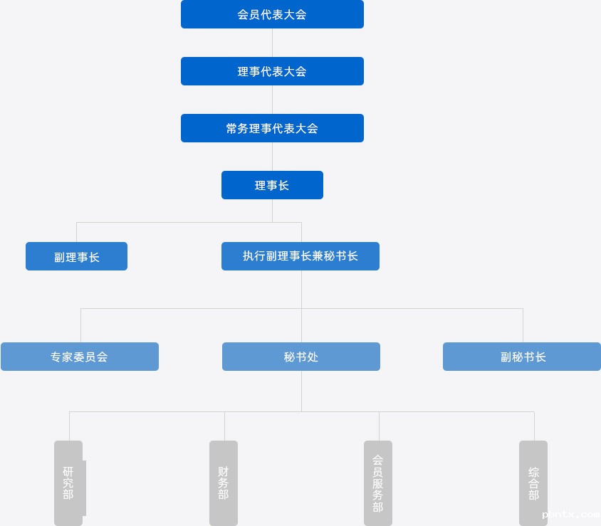 半导体组织架构.jpg